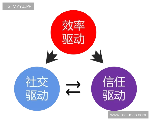 上海排球队的阵地战解析:战术布局与团队协作的深度探讨 上海排球队的阵地战解析:战术布局与团队协作的深度探讨