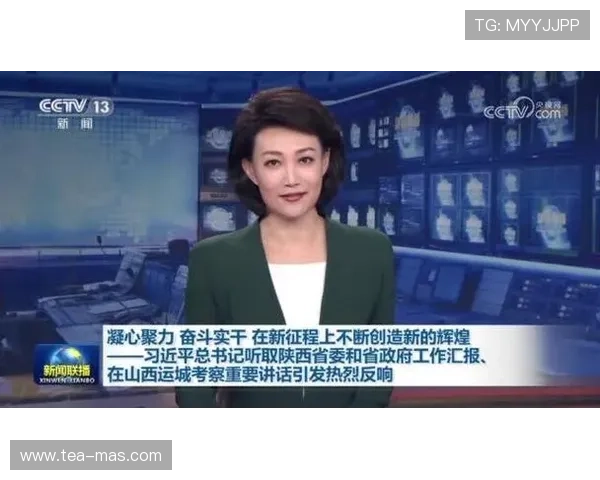 南京排球队的辉煌征程与冠军赛背后的奋斗故事