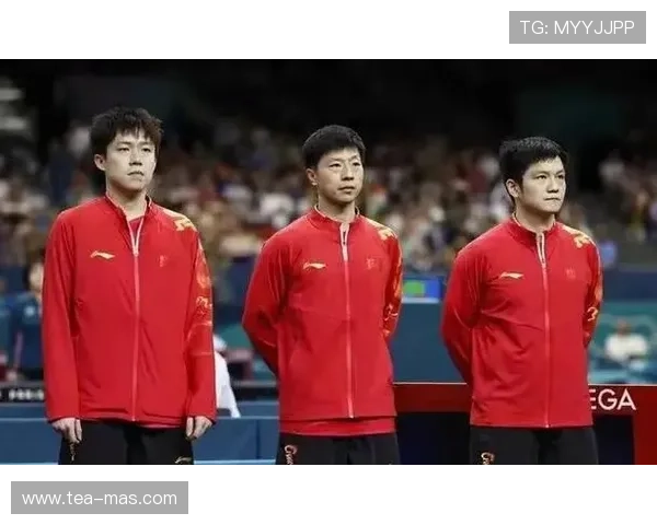南京乒乓球队在世界杯预选赛中的战术分析与表现评估 南京乒乓球队在世界杯预选赛中的战术分析与表现评估