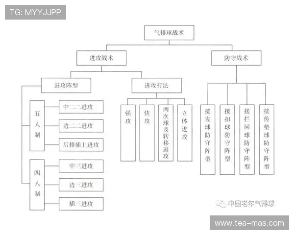 成都排球队意识对比深度解析与战术演变探讨 成都排球队意识对比深度解析与战术演变探讨