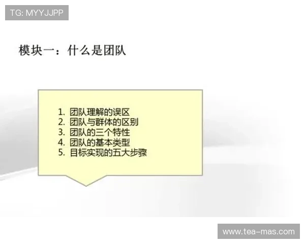 洲际杯赛评析：北京足球队展现灵活战术与团队协作的精彩表现