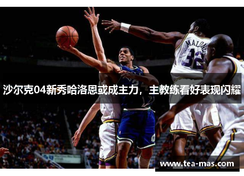 沙尔克04新秀哈洛恩或成主力，主教练看好表现闪耀