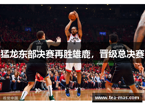 猛龙东部决赛再胜雄鹿，晋级总决赛