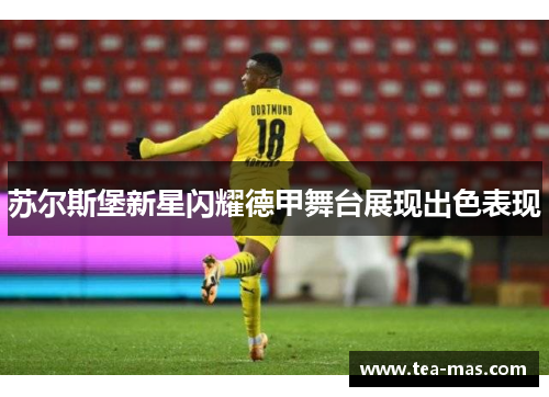 苏尔斯堡新星闪耀德甲舞台展现出色表现