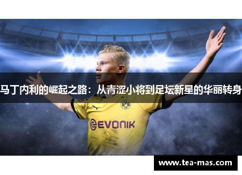 马丁内利的崛起之路：从青涩小将到足坛新星的华丽转身